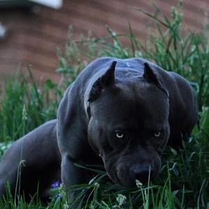 Meet your Posher, Floyd